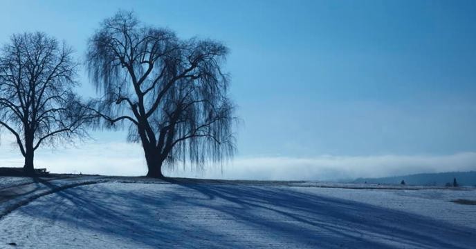 Verschneite Hegau-Landschaft