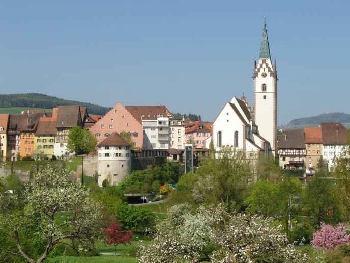 Blick vom Stadtgarten auf die Altstadt mit den historischen Gebäuden