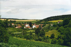 Umgeben von grünen Feldern und Wäldern der Ortsteil Bargen