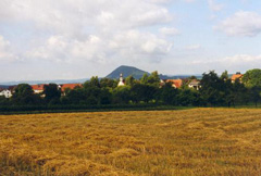 Hinter den Bäumen der Ortsteil Bittelbrunn